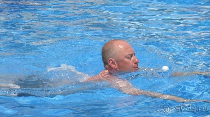 Мечты сбываются