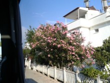 Ну просто суууупер