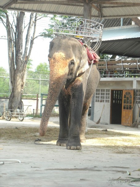 В целом хорошо