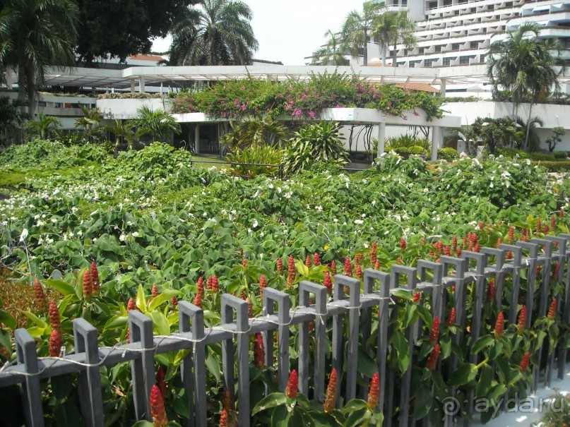 В целом хорошо