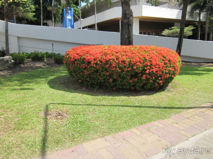 В целом хорошо