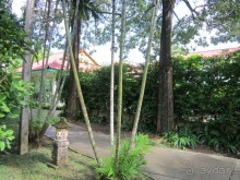 Для отдыха от суеты в отеле