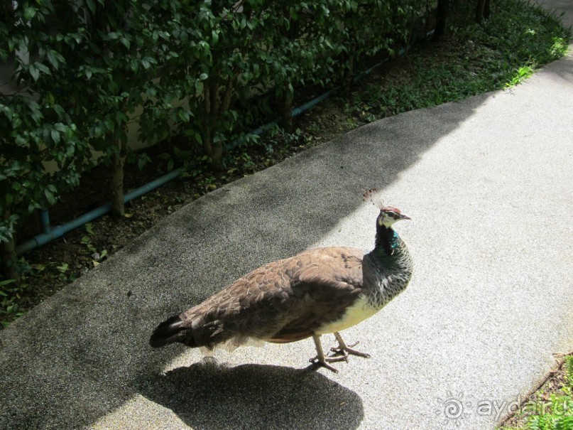 Для отдыха от суеты в отеле