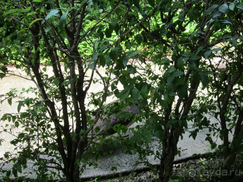 Для отдыха от суеты в отеле