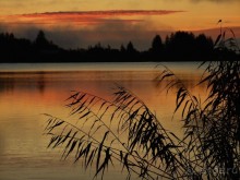 Как в далеком детстве, в деревне у бабушки!