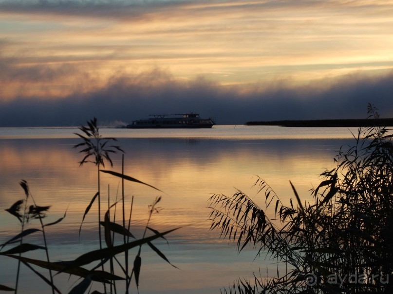 фото Сосновая роща