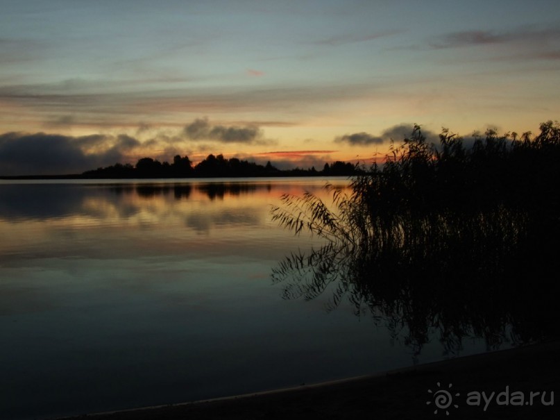 фото Сосновая роща