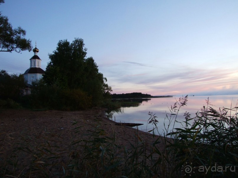 фото Сосновая роща