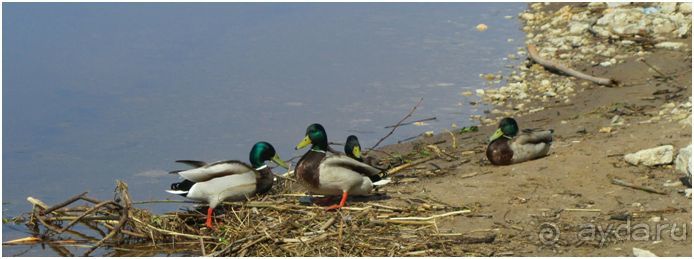 Путешествие на край земли русской...