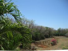 вид из нашего окна