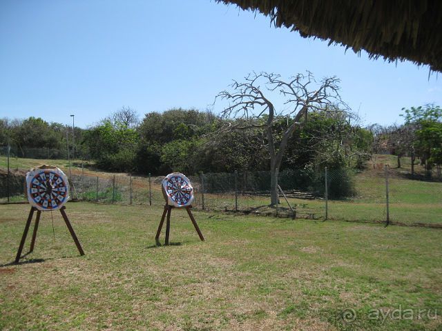 Океан, солнце и ром!