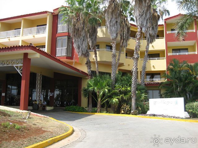 Океан, солнце и ром!