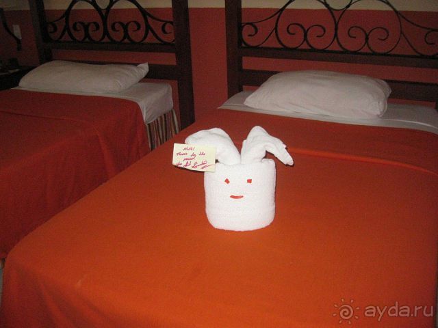 Океан, солнце и ром!