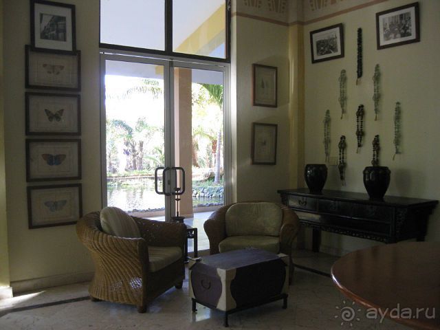 в баре Кохиба