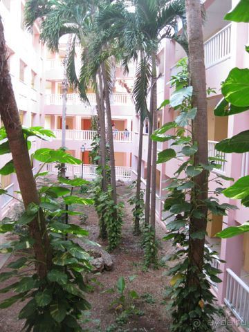 Океан, солнце и ром!