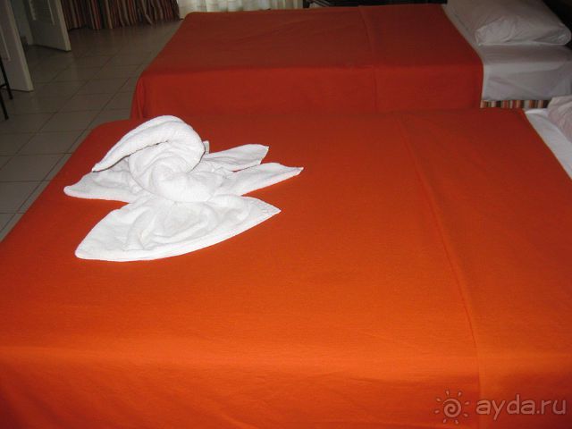 Океан, солнце и ром!