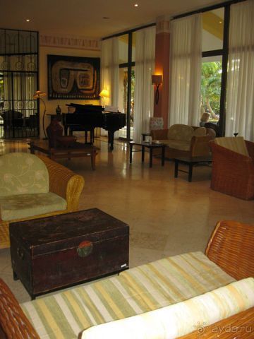 в баре Кохиба