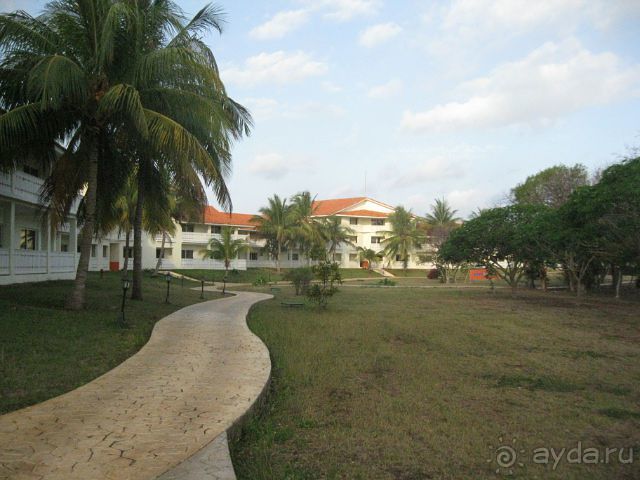 Океан, солнце и ром!