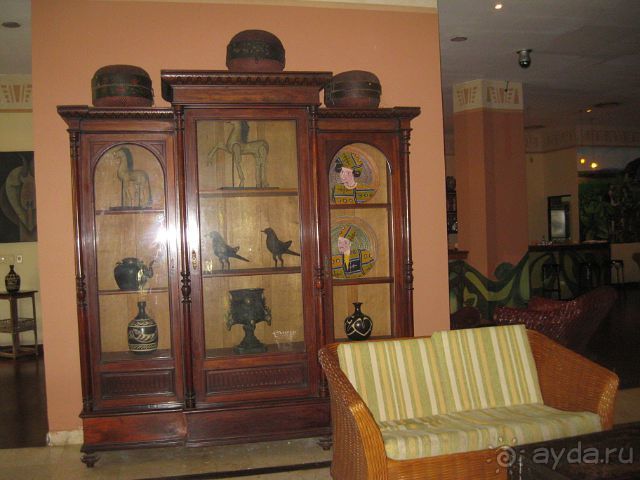 в баре Кохиба