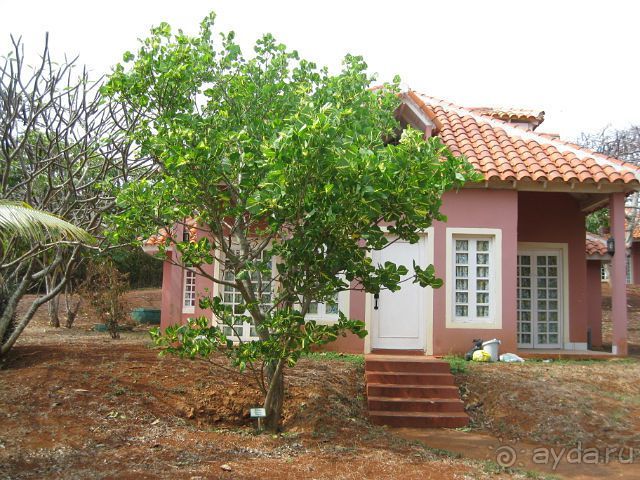 Океан, солнце и ром!