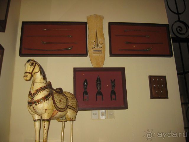 Океан, солнце и ром!