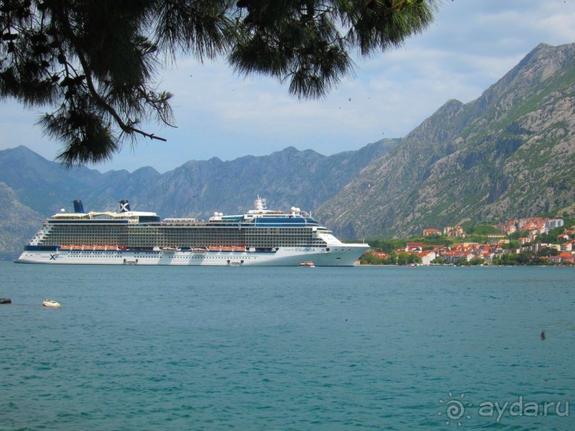 Альбом отзыва "Круиз. Его прелести и преимущества"