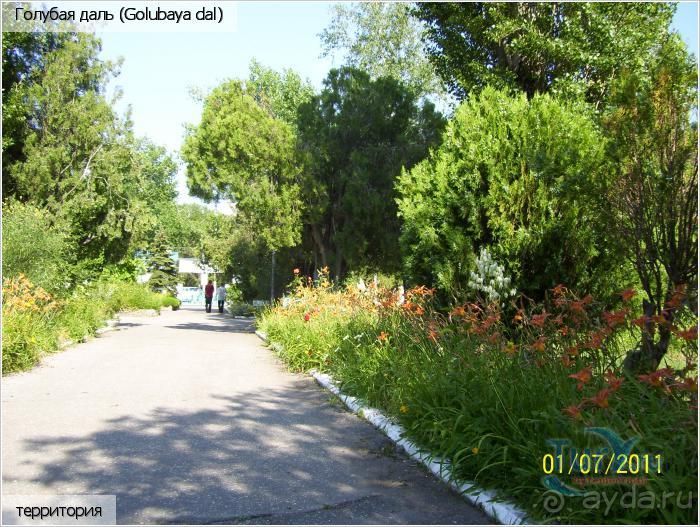 фото Троянда