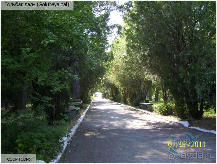 фото Троянда