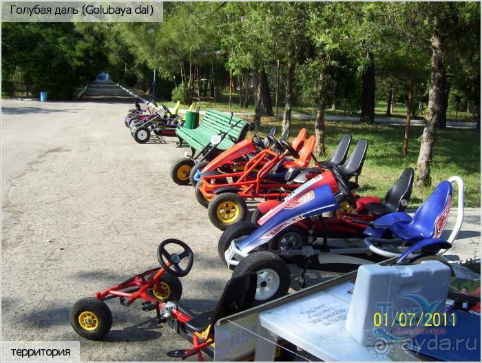 фото Троянда