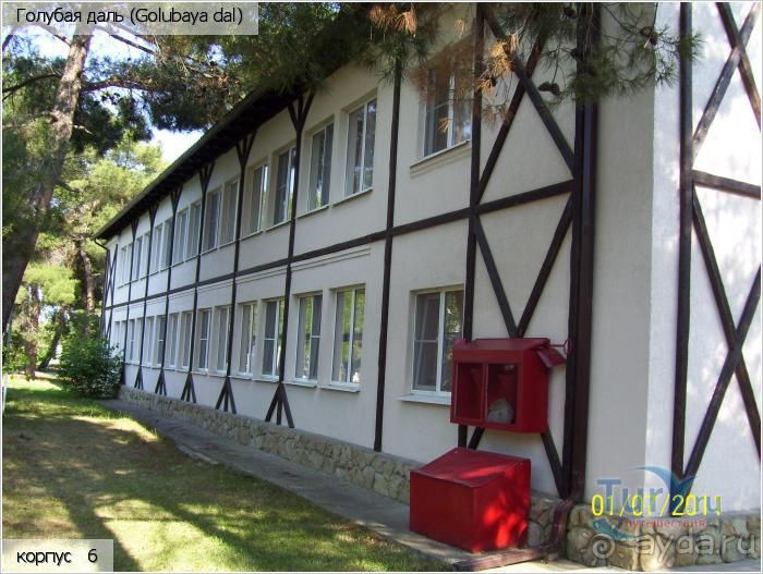 фото Троянда