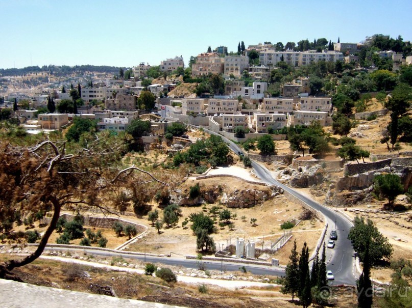 фото Coral Beach Resort Tiran