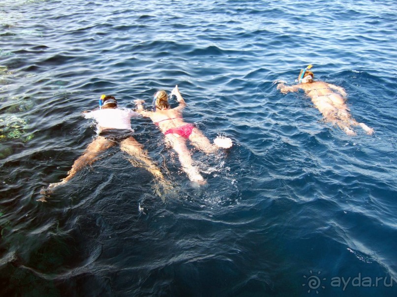 фото Coral Beach Resort Tiran