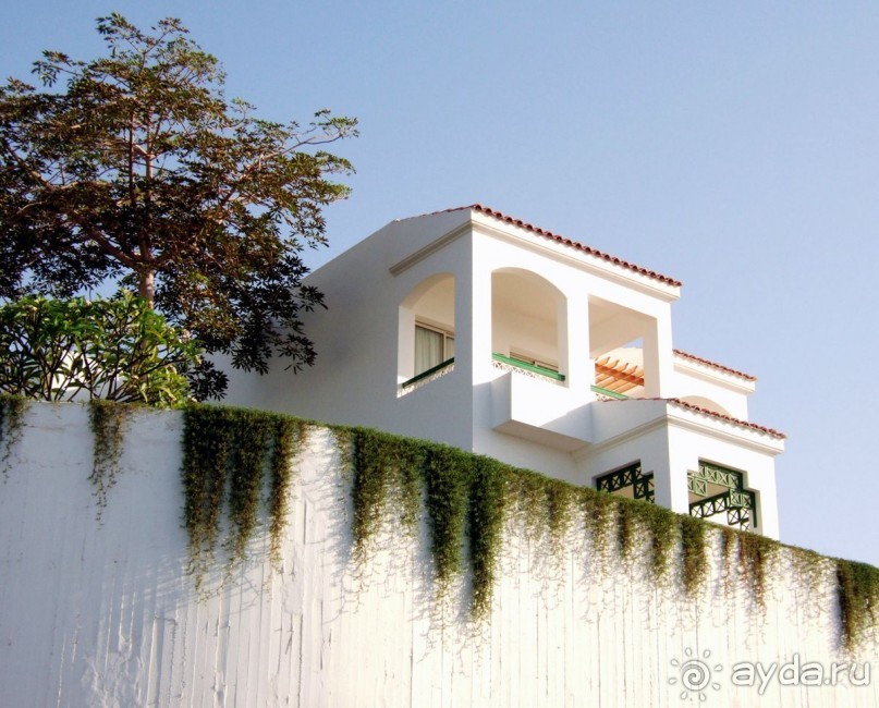 фото Coral Beach Resort Tiran