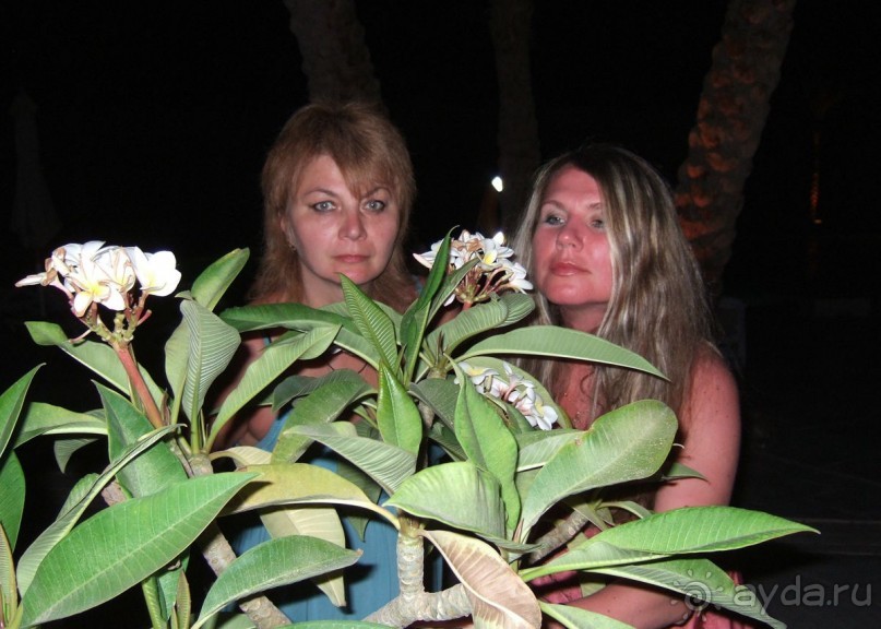 фото Coral Beach Resort Tiran