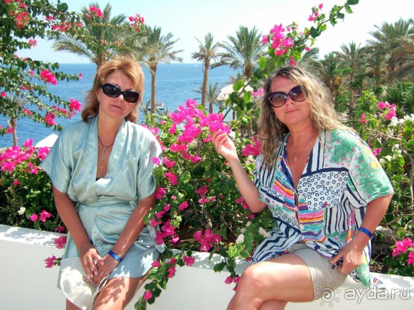 фото Coral Beach Resort Tiran