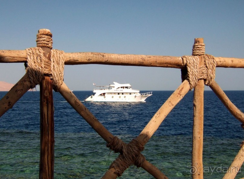 фото Coral Beach Resort Tiran