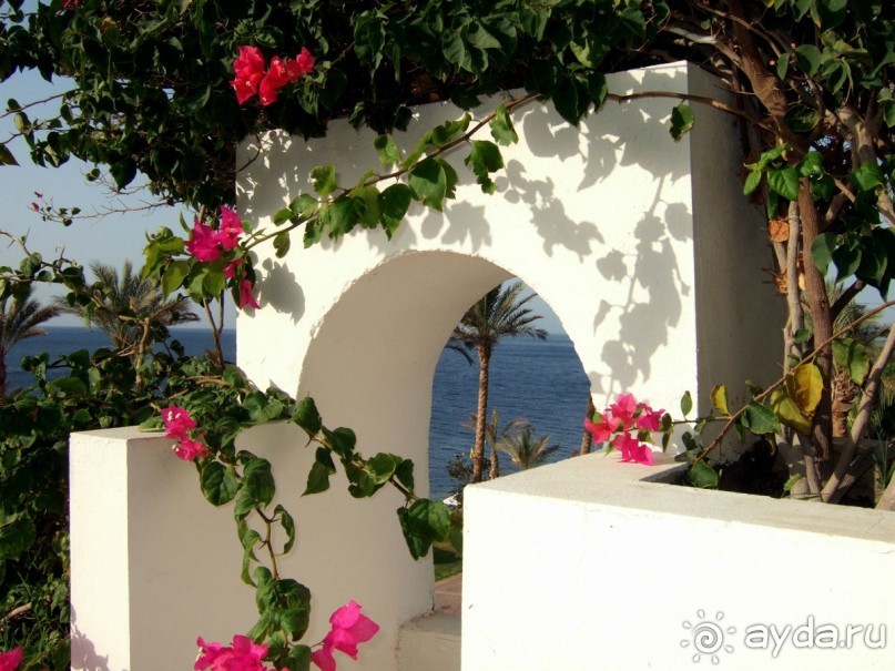 фото Coral Beach Resort Tiran