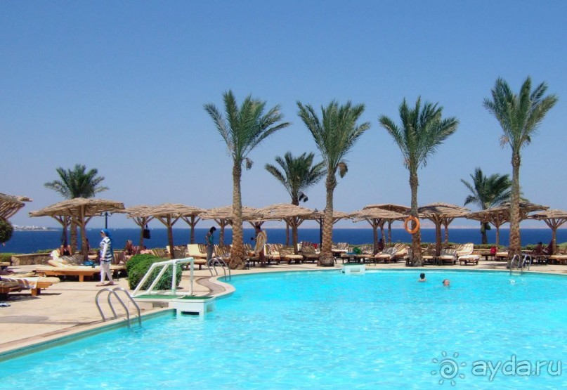 фото Coral Beach Resort Tiran