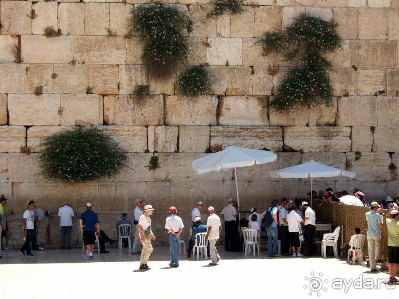 фото Coral Beach Resort Tiran