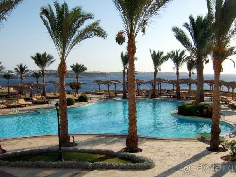 фото Coral Beach Resort Tiran