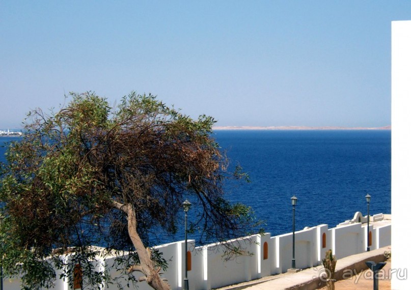 фото Coral Beach Resort Tiran