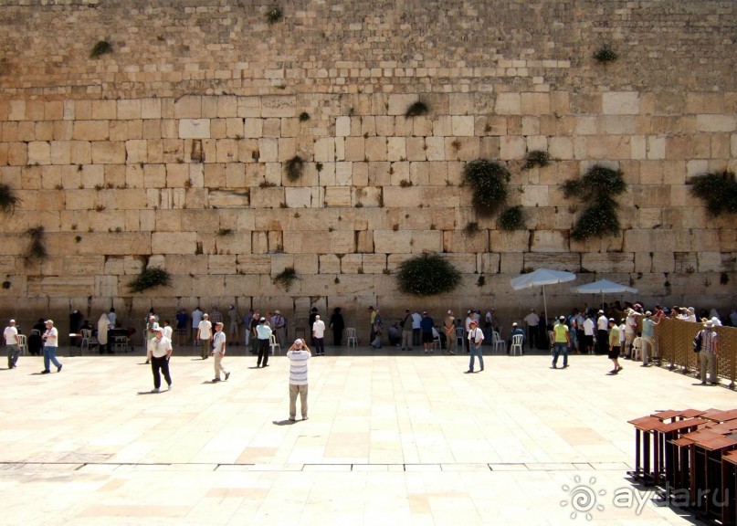 фото Coral Beach Resort Tiran