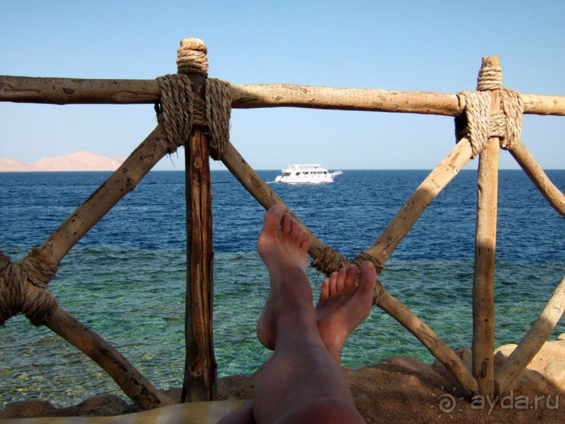 фото Coral Beach Resort Tiran