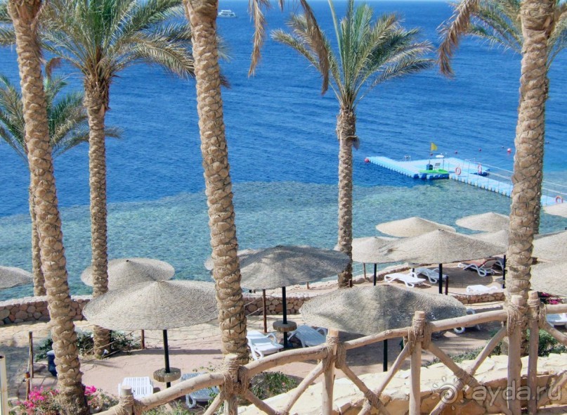 фото Coral Beach Resort Tiran