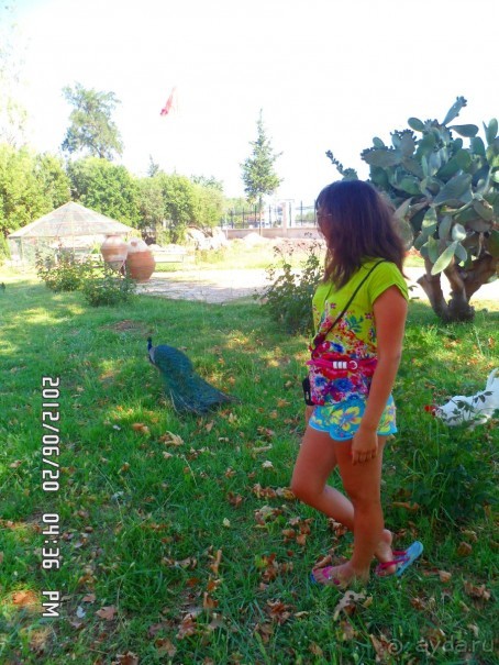 фото Ozkaymak Falez Hotel