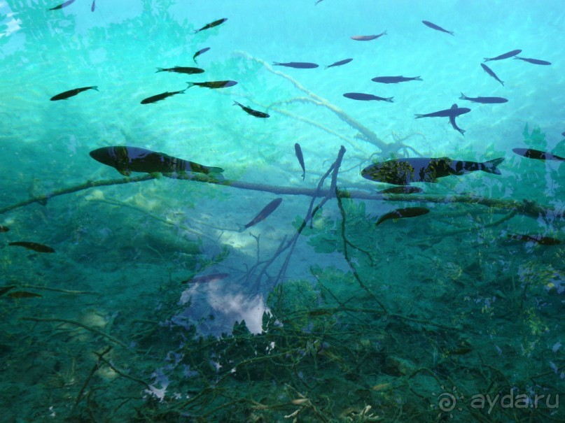 Отдых в Хорватии