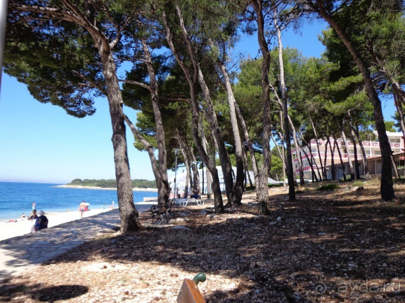 Отдых в Хорватии