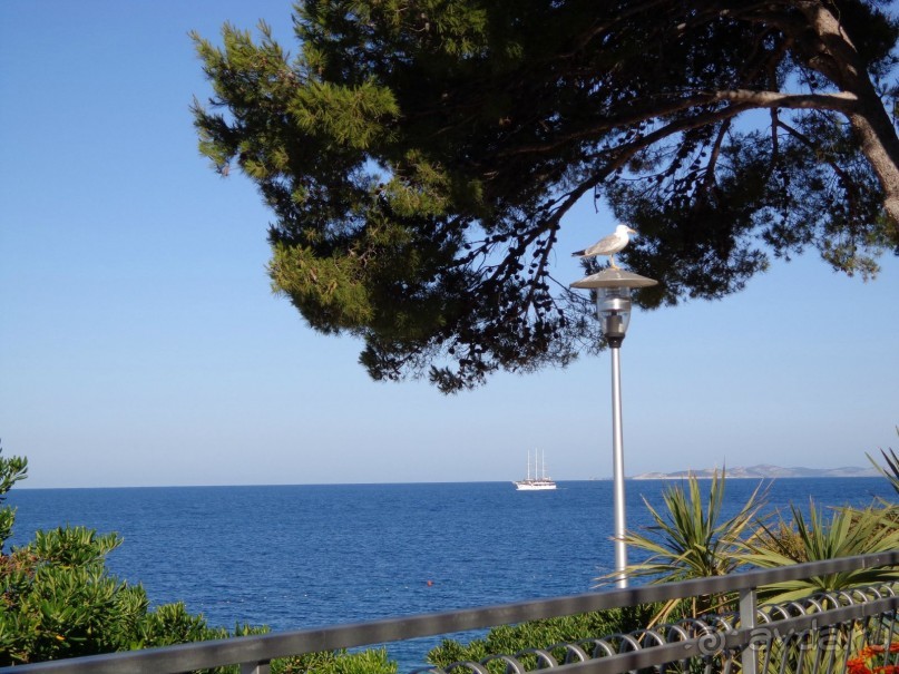 Отдых в Хорватии