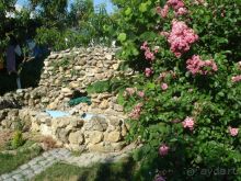 фото Курортный