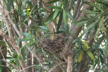 Впервые  в Черногории